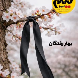 شماره 61 (نسخه چاپی)